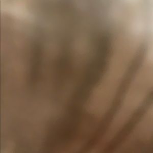 Meet your Posher, Bella